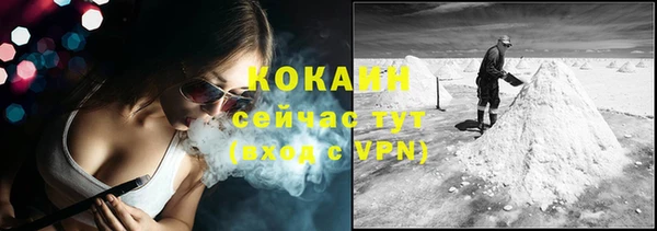 ГАЛЛЮЦИНОГЕННЫЕ ГРИБЫ Аркадак