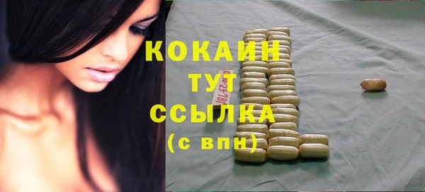 мдпв Касимов