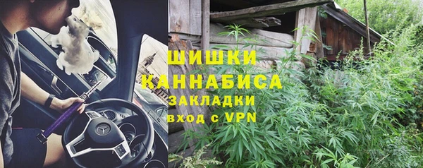 ГАЛЛЮЦИНОГЕННЫЕ ГРИБЫ Аркадак