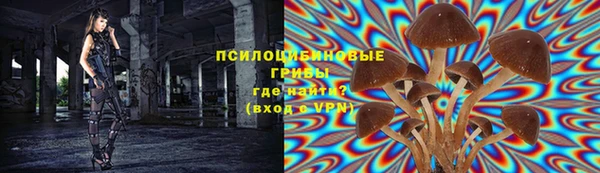 стаф Армянск