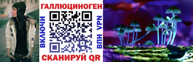 дарк нет как зайти  ссылка на мегу как войти  Саров  Псилоцибиновые грибы MAGIC MUSHROOMS 